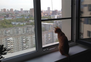 Установка сетки "Антикошка